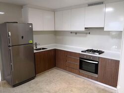 The Lakefront Residences (D22), Condominium #562278261